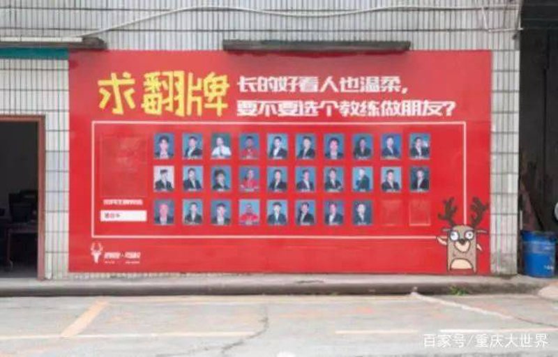 从菜鸟到行家：我在光电显示技术领域的真实成长经历